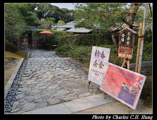 白鳥_020.jpg