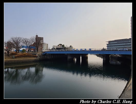 白鳥_004.jpg