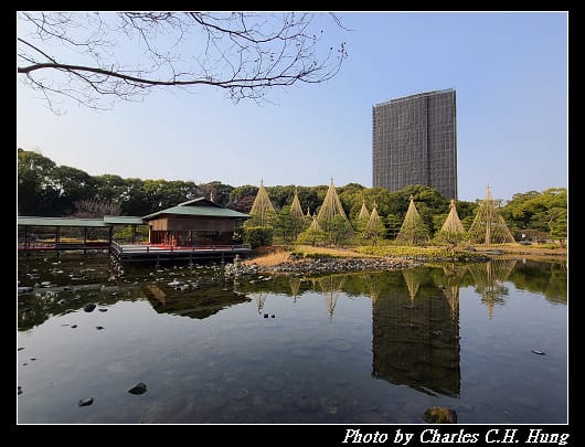 白鳥_022.jpg