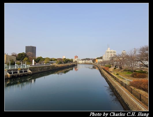 白鳥_003.jpg
