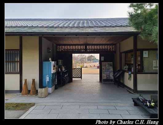 白鳥_104.jpg