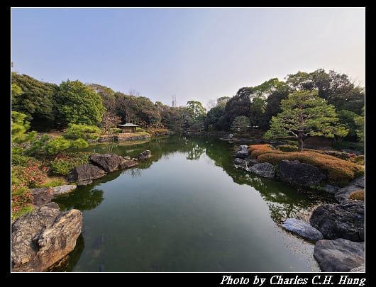 白鳥_057.jpg