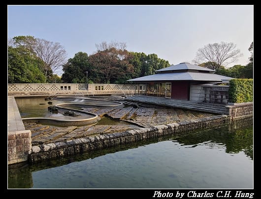 白鳥_040.jpg
