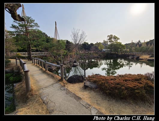 白鳥_055.jpg