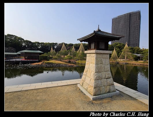 白鳥_037.jpg