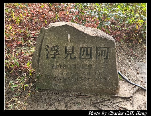 白鳥_063.jpg