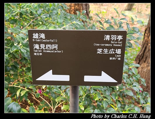 白鳥_075.jpg