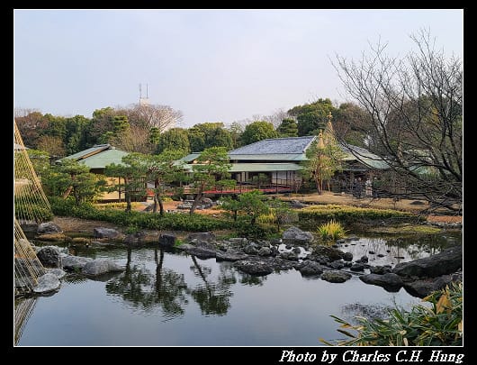 白鳥_103.jpg