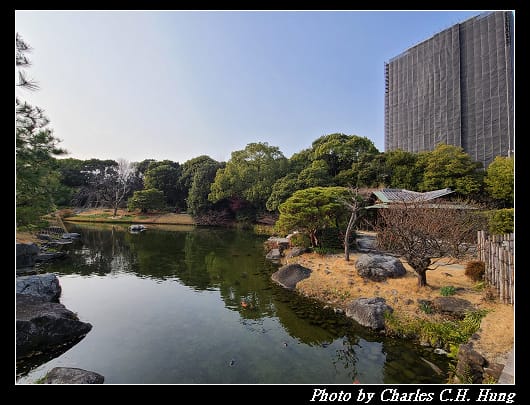 白鳥_045.jpg