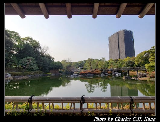 白鳥_065.jpg