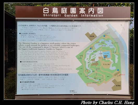 白鳥_010.jpg