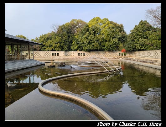 白鳥_072.jpg