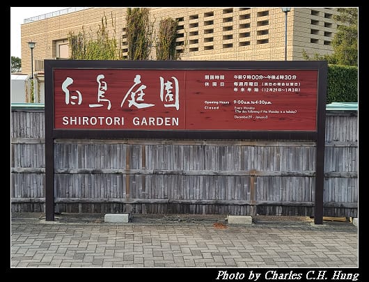 白鳥_007.jpg