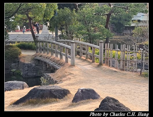 白鳥_051.jpg