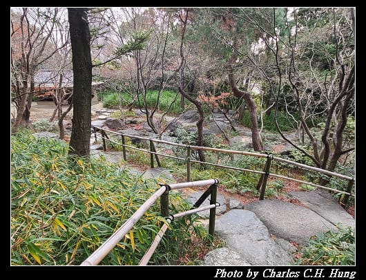 白鳥_076.jpg