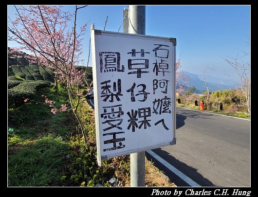 櫻之道_029.jpg 櫻之道_029.jpg