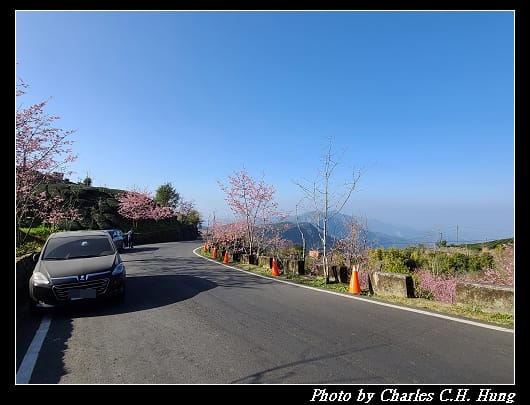 櫻之道_030.jpg 櫻之道_030.jpg
