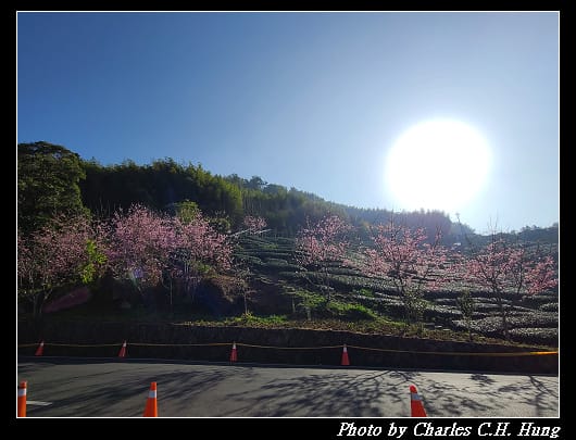 櫻之道_025.jpg 櫻之道_025.jpg