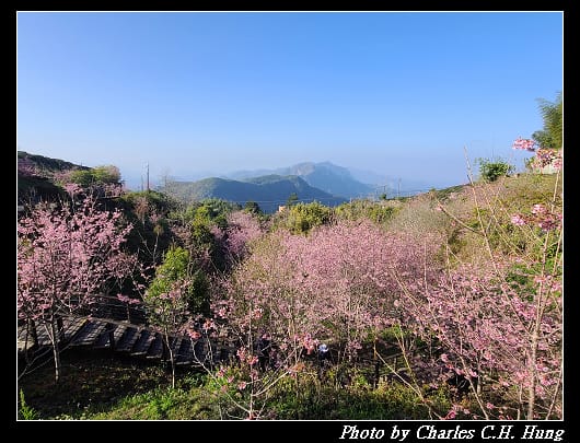 櫻之道_009.jpg 櫻之道_009.jpg