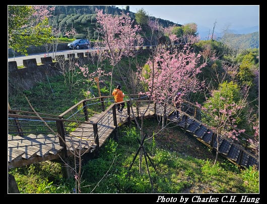 櫻之道_008.jpg 櫻之道_008.jpg