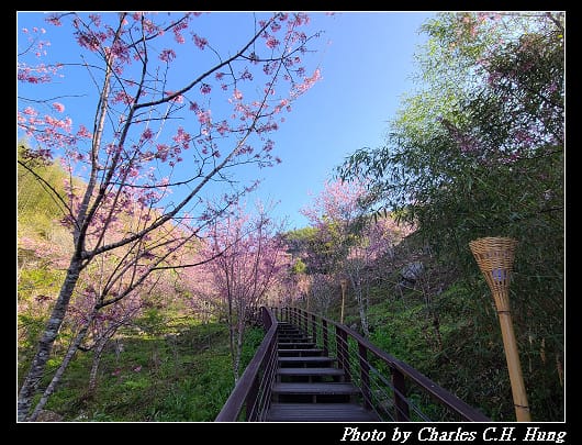 櫻之道_019.jpg 櫻之道_019.jpg