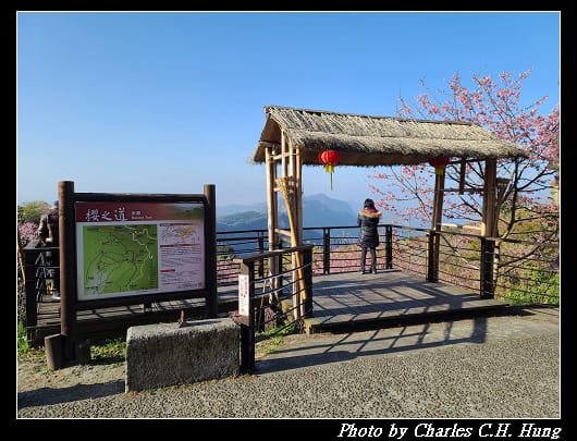 櫻之道_007.jpg 櫻之道_007.jpg