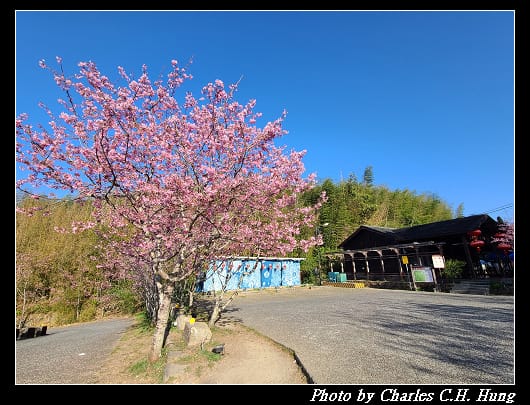 櫻之道_005.jpg 櫻之道_005.jpg