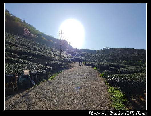 櫻之道_028.jpg 櫻之道_028.jpg