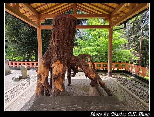 伏見稻荷_119.jpg 伏見稻荷_119.jpg
