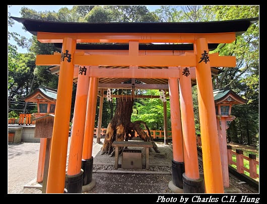 伏見稻荷_117.jpg 伏見稻荷_117.jpg