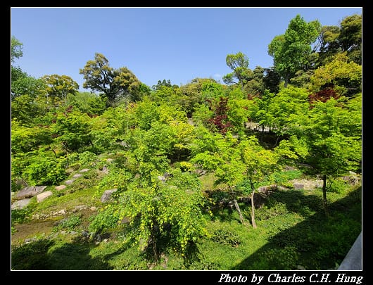 伏見稻荷_132.jpg 伏見稻荷_132.jpg