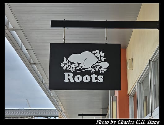 Roots_003.jpg