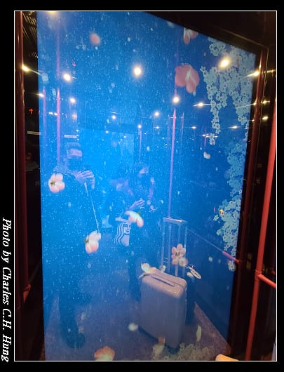 英迪格_016.jpg