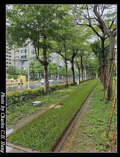 龍貓隧道_005.jpg