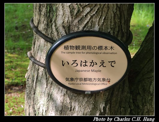 二條城_088.jpg