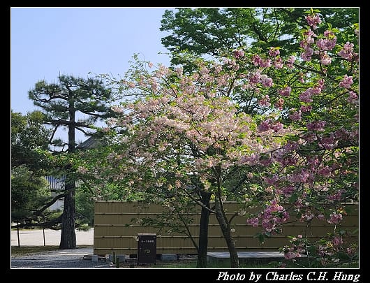 二條城_084.jpg