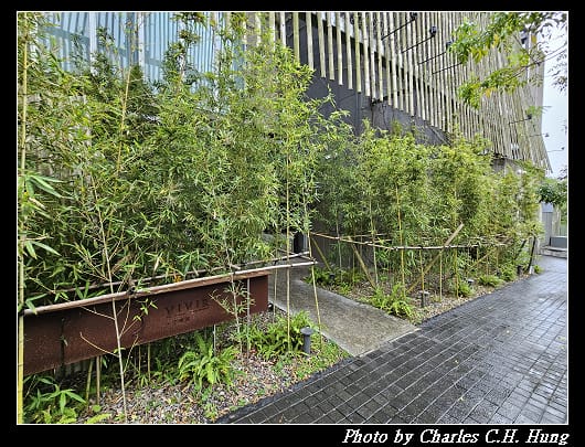 HABITAT_002.jpg