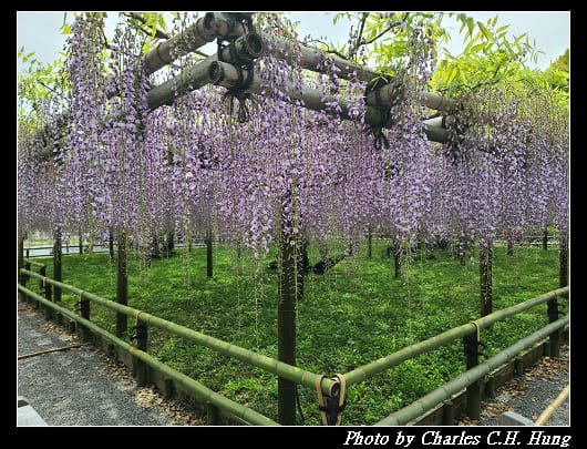 平等院_031.jpg
