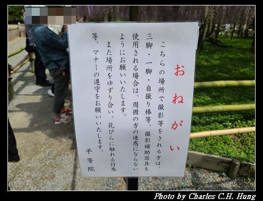 平等院_029.jpg
