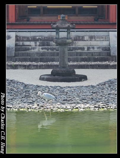 平等院_106.jpg