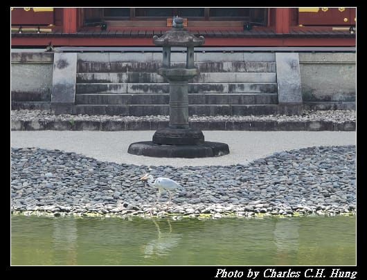 平等院_107.jpg