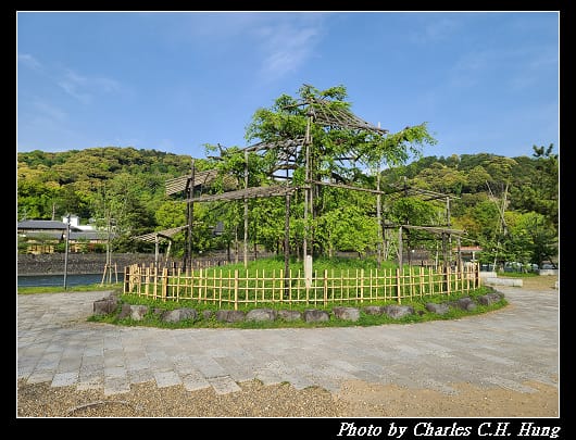 橘島_015.jpg