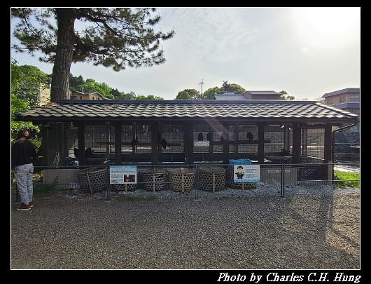 橘島_019.jpg