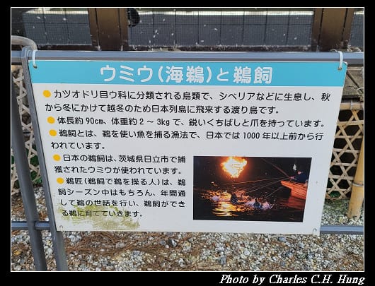 橘島_022.jpg