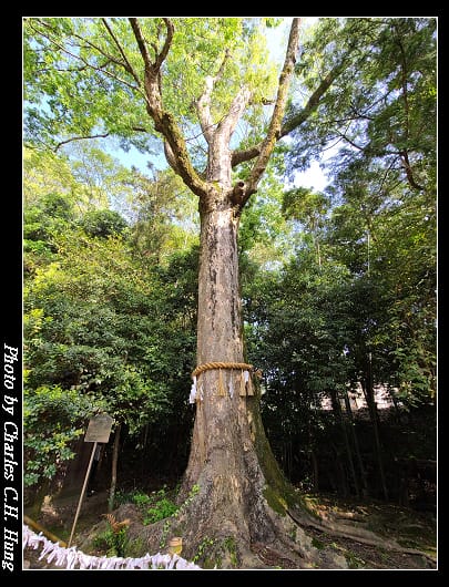 上神社_025.jpg