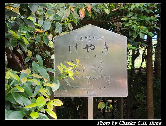 上神社_026.jpg