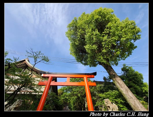 宇治神社_005.jpg