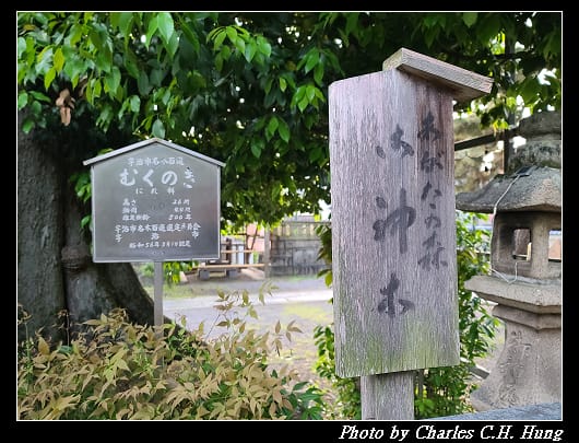 縣神社_017.jpg