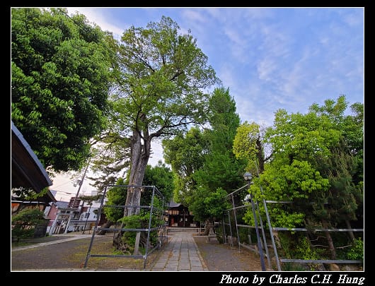縣神社_025.jpg