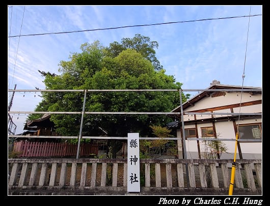 縣神社_031.jpg